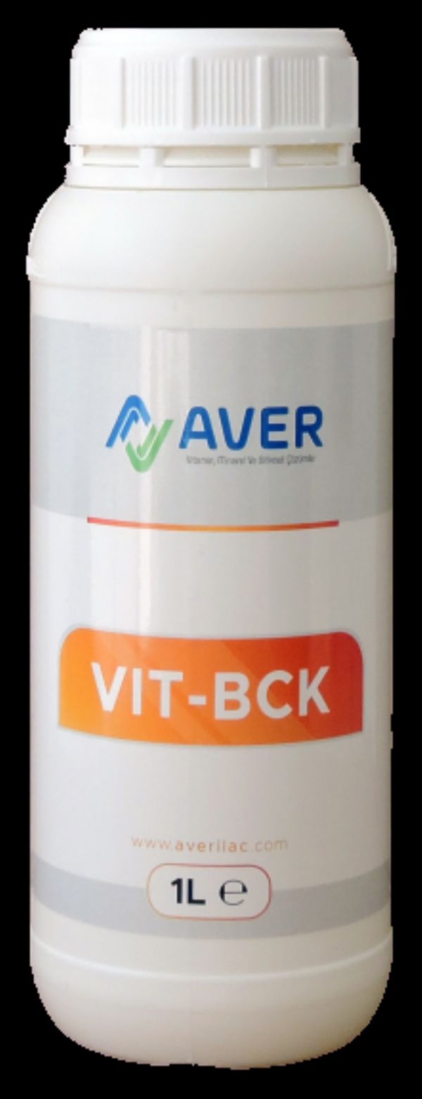 VIT-BCK 1 LT